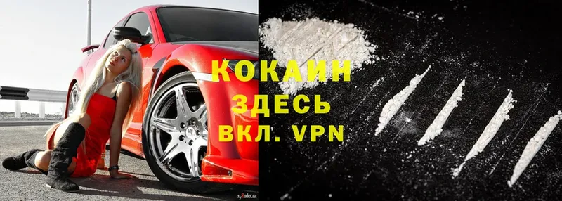 мега как зайти  как найти   Чадан  Cocaine Fish Scale 